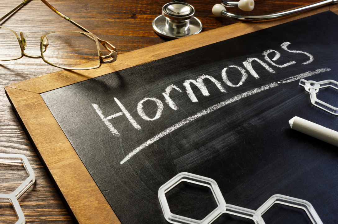 Hormonhaushalt und Ernährung